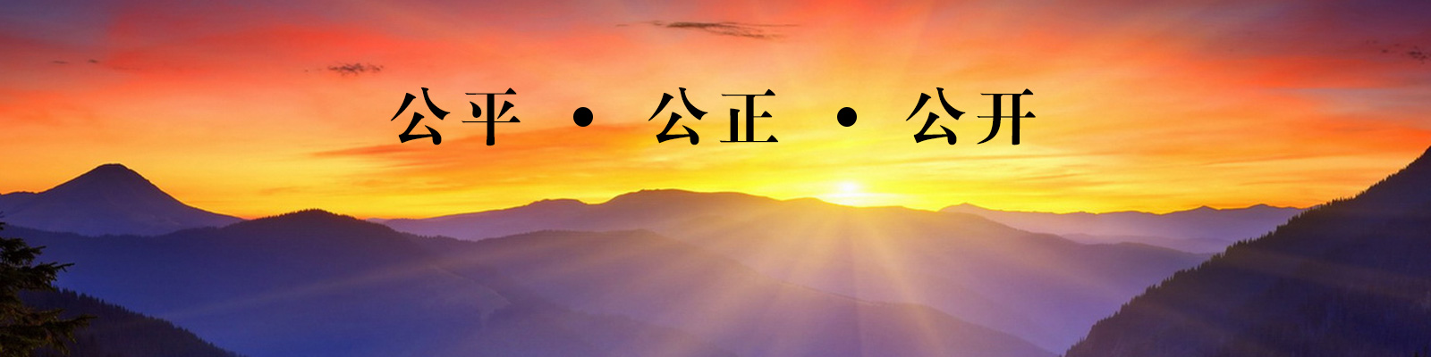 泓武招标